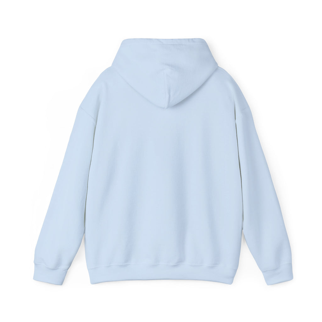 Bap Clothing Hoodie — Streetwear Logo Pullover